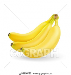Vector Art - Banana fruit realistic. bunch of bananas ...
