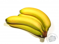 FREE Banana Photo, Bunch of Bananas Picture, Yellow Bananas Image ...