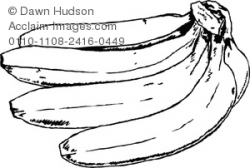 Black and White Bananas Clipart Image