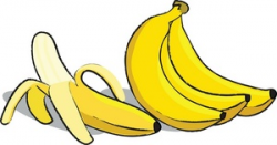 Free Banana Clip Art Pictures - Clipartix
