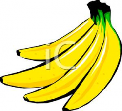 A Yellow Bunch of Bananas Clip Art Image
