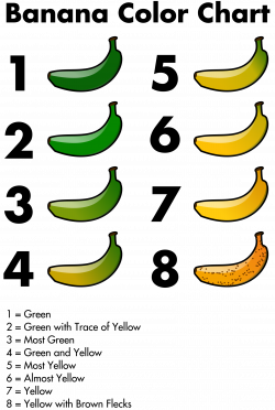 Clipart - Banana Color Chart