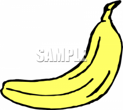 One Large Yellow Banana Clipart Image - foodclipart.com