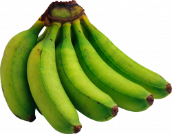 green bananas PNG image, free picture