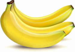 Ripe bananas Free vector in Adobe Illustrator ai ( .AI ...