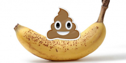 20 legit reasons bananas are evil and should be stopped