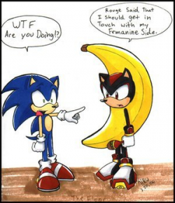 Shadow the Hedgehog in a banana costume | I don't get it, bu… | Flickr