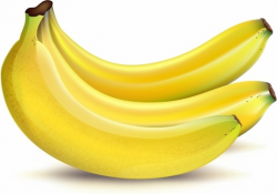 Banana free vector download (215 Free vector) for commercial use ...