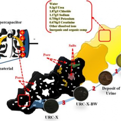 Urine to highly porous heteroatom-doped carbons for supercapacitor ...
