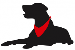Red Bandana Pet Services LLC | Dog Walking and Pet Sitting Services