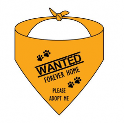 WANTED...Forever Home NEON Bandana – The Dog Perk Corporation