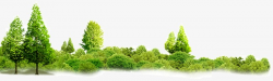 Woods Banner Material, Forest, Green, Bottom Banner PNG Image and ...