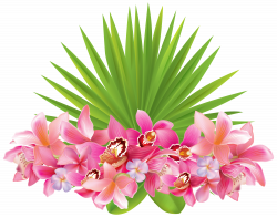 Tropical Flowers PNG Clipart Image | Gallery Yopriceville - High ...