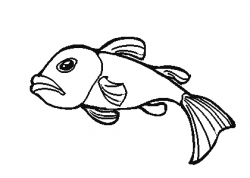 Fish For Drawing - Clipart library - Clip Art Library