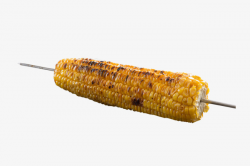 Grilled Corn Food, Barbecue, Corn, Flavor PNG Image and Clipart for ...