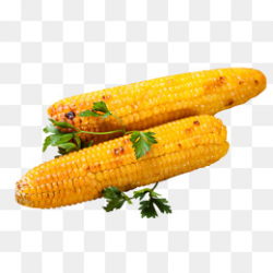 Flavor Roasted Corn, Roasted Corn, Barbecue, Corn PNG Image and ...