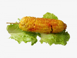Grilled Corn, Roasted Corn, Barbecue PNG Image and Clipart for Free ...