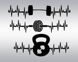 Crossfit weights svg Barbell svg Gym svg Fitness svg