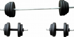 New Barbell Clipart Collection - Digital Clipart Collection