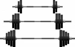 Which Should I Use… EZ Curl Bar or Straight Bar? - WorkoutHealthy ...