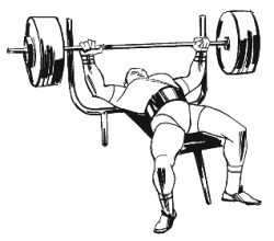 Bench Press Drawing at GetDrawings.com | Free for personal use Bench ...