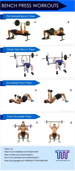 45 best 2016 Upper Body Chest barbell bench press images on ...