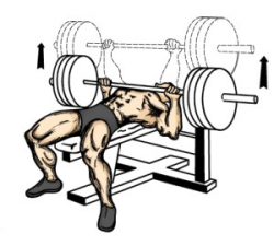 Barbell Bench Press for Chest Workout