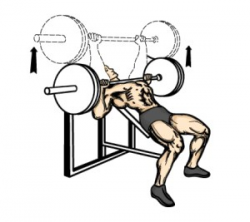 Incline Bench Press for Chest Workout