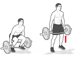 Trap Bar Deadlift. Best for: Beginners and people who want to master ...