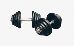 Fitness Barbell, Product Kind, Barbell, Dumbbell PNG Image and ...
