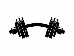 Barbell Gym Equipment Bodybuilder Exercise Discipline Healthy