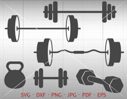 Dumbbell SVG, Barbell SVG, Weight SVG, Workout Svg, Muscles svg, Gym ...