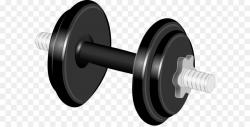 Dumbbell Physical exercise Weight training Clip art - Hantel PNG png ...