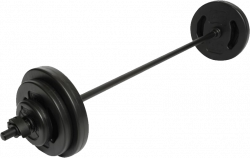 Barbell PNG Clipart | Web Icons PNG