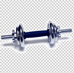 Physical Exercise Fitness Centre Weight Training Dumbbell ...