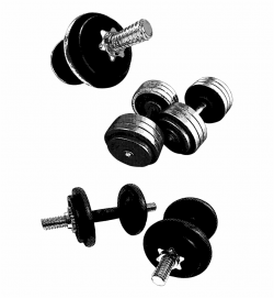 Barbell Clipart Gym Equipment Fitness - Weightlifting ...