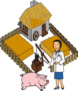 Doctor Pig On A Farm Clip Art at Clker.com - vector clip art online ...