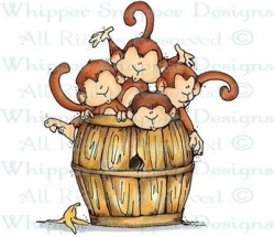150 best *All about Cute Monkeys images on Pinterest | Monkeys ...