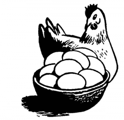 Chicken Egg | NetArt
