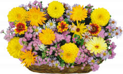 Large Transparent Flowers Basket Clipart | Gallery Yopriceville ...