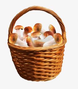A Basket Of Mushrooms, Basket, Fungi, Mushroom PNG Image and Clipart ...