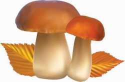 Free mushrooms clipart png download. Transparent PNG free images ...