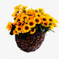 Vintage Basket In Sunflowers, Retro, Sunflower, Flower Arrangement ...
