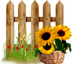 sunflower basket | fences collections | Pinterest | Sunflowers, Clip ...