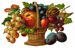 Victorian Fruit Basket Clipart