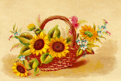CatnipStudioCollage-: Free Vintage Clip Art - Basket of Sunflowers ...