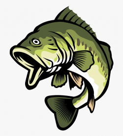 Bass Fish Clipart #14393 - Free Cliparts on ClipartWiki