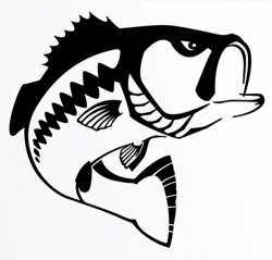 47+ Bass Fish Clipart | ClipartLook