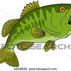 Bass Fish Clipart summer clipart hatenylo.com