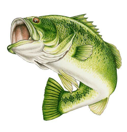 Wide Mouth Bass Clip Art | Wildlife Art | stained glass patterns ...